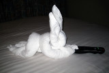 towel rabbit watching cartoons