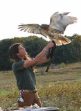 Red-tail wants to fly