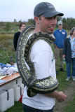 Carpet Python