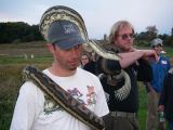 Two big ones