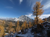Mt Stuart and larch