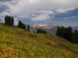 White River Glacier