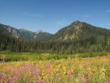 Little Wenatchee