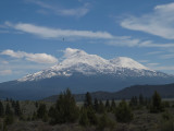 P6024345.jpg