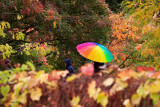 Colour In The Rain At Kew