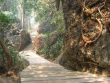 Doi Chiang Dao, temple stairs