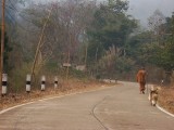 Doi Chiang Dao