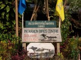 Mr. Daeng's 'Birds Centre', Doi Inthanon