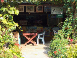 Mr. Daeng's 'Birds Centre', Doi Inthanon