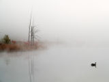 Mendon Ponds