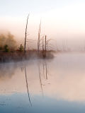 Round Pond