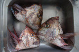 Preparing Fish Head Soup