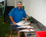 Snapper, Whatuwhiwhi, New Zealand