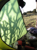 2009 CDT Sunrise and a cactus shadow on the tent, New Mexico