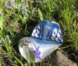 Budlite- the state flower of New Mexico!