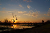 Brazos Bend sunset