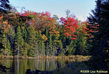 Autumn Reflections