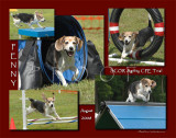 Heaton 11x14 Special 5-photo montage