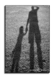 Me and My Shadow<br>Achromatic August<br>August 9