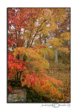 Rainy Fall Day<br>October 28