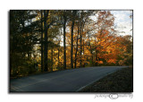 Fading Light<br>November 4