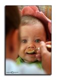 Growing Appetite