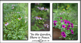 Challenge:<i>In the Garden...</i><br>There is Peace