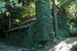 Sugar Cane Mill, St. Lucia