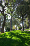 Saint-Martins Gardens