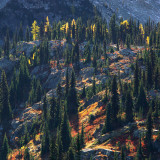 Fall Colors at Twisp Pass