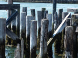 Pilings 2