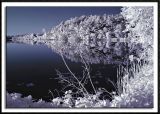 Lake Vadnais Reflection