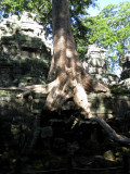 cambodia056.jpg