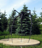 Spider  Louise Bourgeois