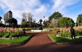 Fountain at Albert Park