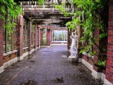 Winter Garden gate