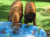 Fun at Nana's 8 June 2008
