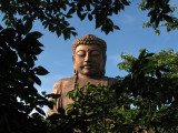 Tokais Daibutsu peeking through the trees