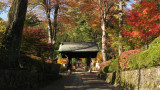 Entering Kōzen-jis grounds