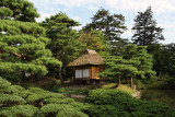 Teahouse and sculpted greenery, Oyaku-en