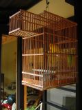 Caged canary outside a machiya