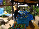 Small morning market