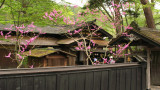 Iwahashi-ke residence from outside