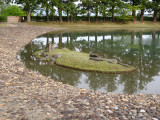 Little islet at the pondside