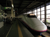 Tōhoku Shinkansen stopped at Morioka Station