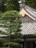 Daisho-in roofline with sculpted tree