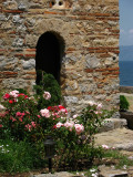 Flowers beside the monastery, Sveti Naum