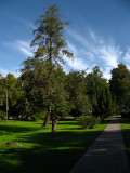 Parkland path along Raiņa iela