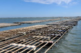 lagoon at Chiku, Taiwan.