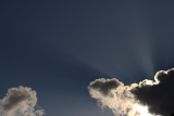 Sun Rays